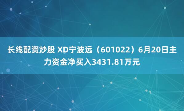 长线配资炒股 XD宁波远（601022）6月20日主力资金净买入3431.81万元