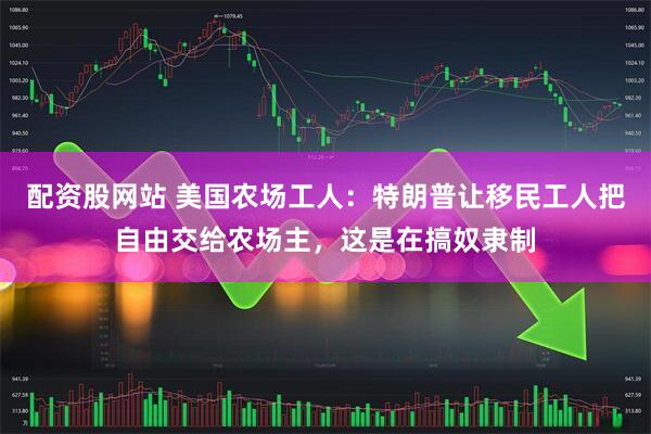 配资股网站 美国农场工人：特朗普让移民工人把自由交给农场主，这是在搞奴隶制