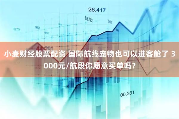 小麦财经股票配资 国际航线宠物也可以进客舱了 3000元/航段你愿意买单吗？