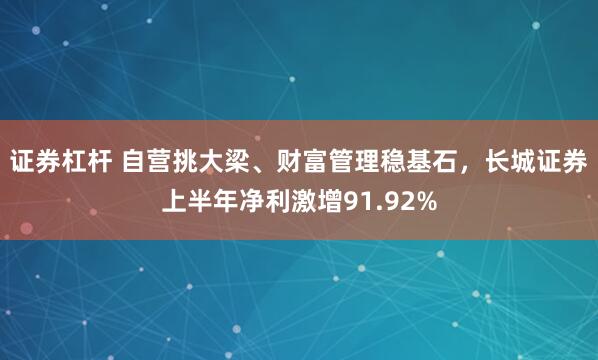证券杠杆 自营挑大梁、财富管理稳基石，长城证券上半年净利激增91.92%