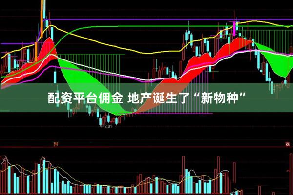 配资平台佣金 地产诞生了“新物种”