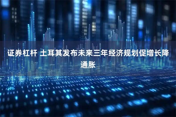 证券杠杆 土耳其发布未来三年经济规划促增长降通胀